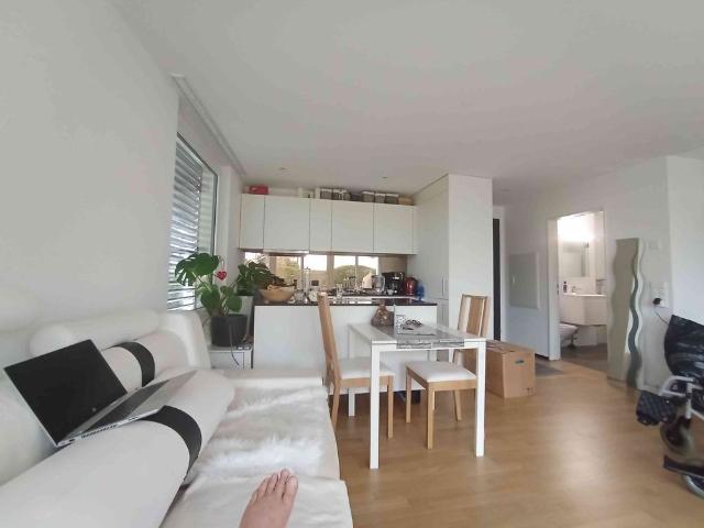 1.5 Zimmer, 54 m², EG