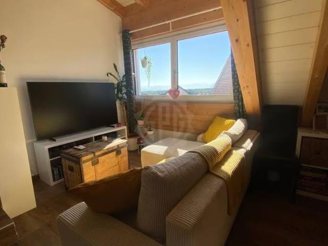 1.5 Zimmer, 58 m²