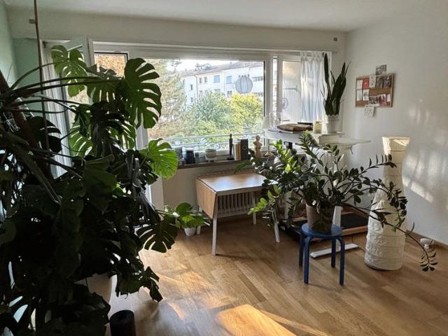 1.5 Zimmer, 50 m², 2. Stock