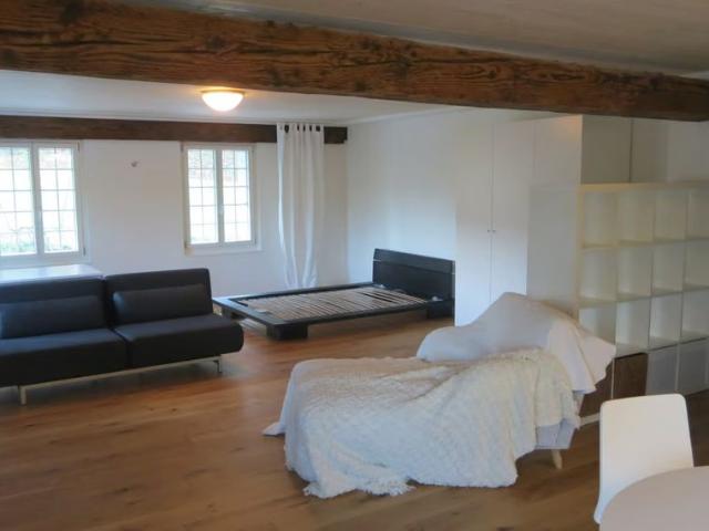 1.5 Zimmer, 50 m²