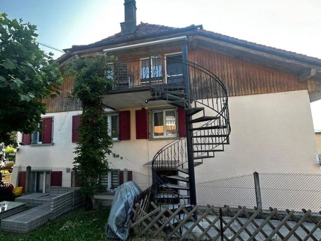 1.5 Zimmer, 50 m²