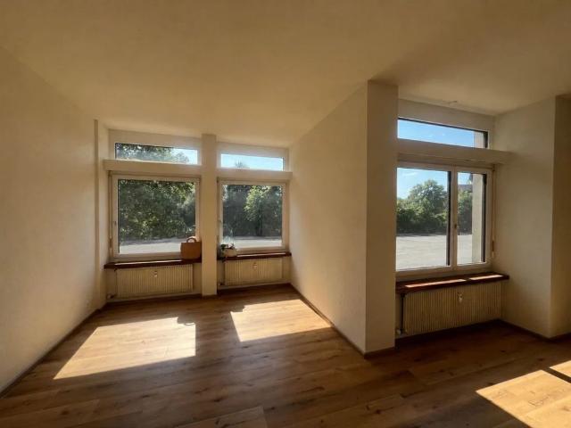 1.5 Zimmer, 51 m², EG