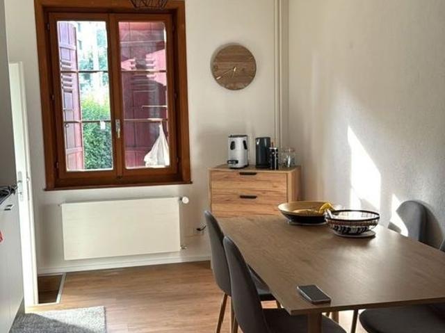 1.5 Zimmer, 52 m²
