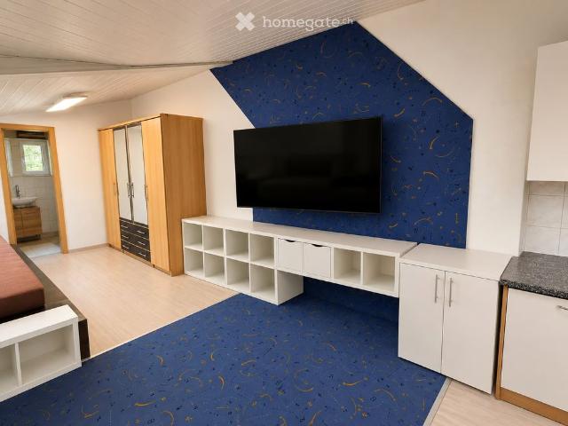 1.5 Zimmer, 60 m²
