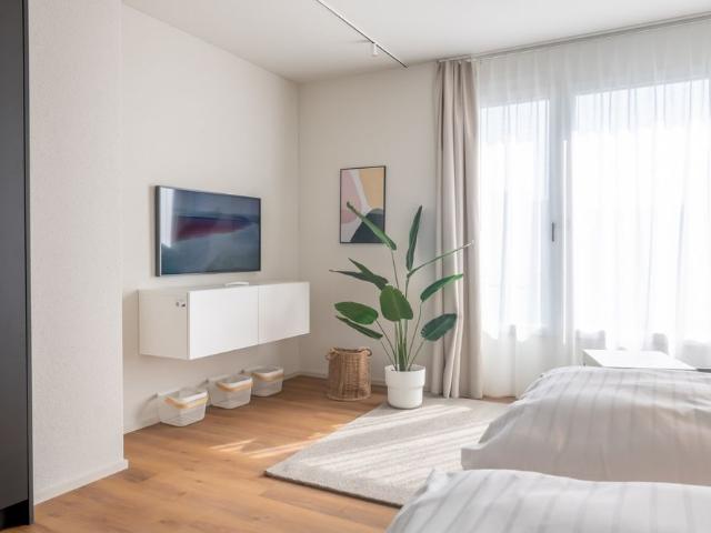 1.5 Zimmerwohnung grosses Studio mit eigenem Waschturm