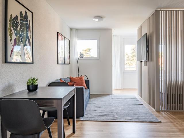1.5 Zimmerwohnung modernes Studio mitten in Basel