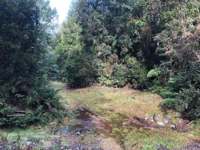 1,6 hectáreas de bosque nativo a 20 Minutos de Puerto Varas | 0 dormitorios por 80000. 00 en Puerto Varas