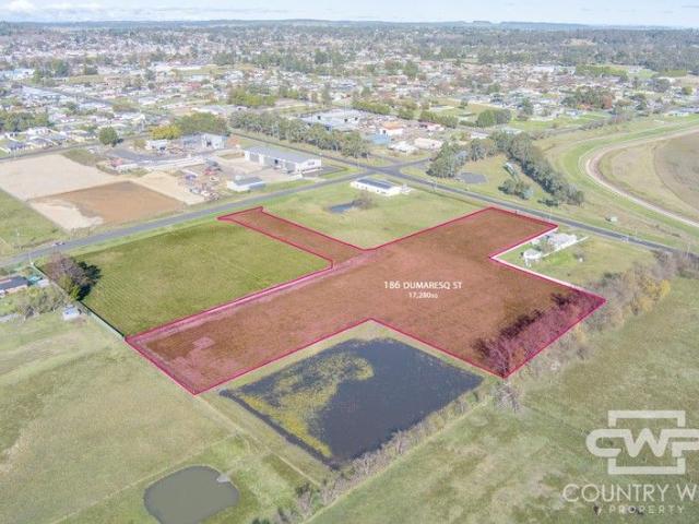 1.728 Hectares Commercial Land