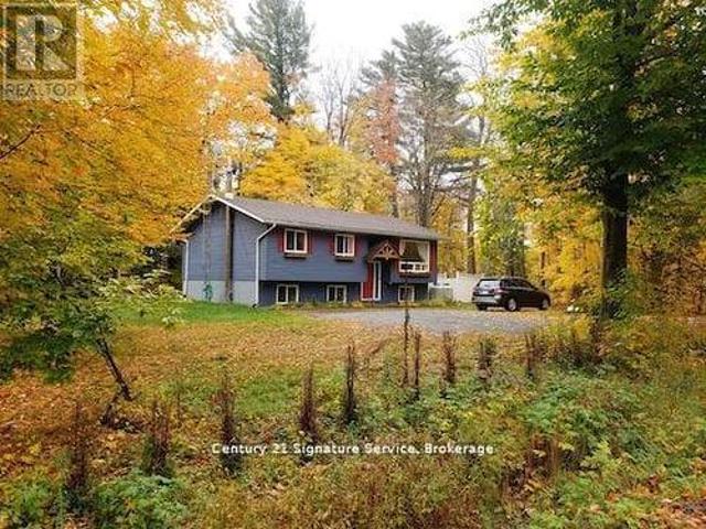 1 879 Stephenson Road E, Huntsville, ON, P0B 1L0 house for lease | Listing ID X13515 | Royal LePage