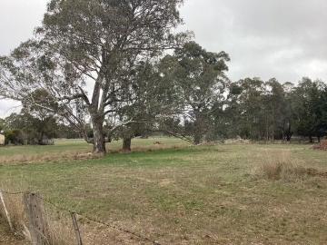 1.95Ha App. 4.8Ac  Homesite STCA  RLZ and Township Zone