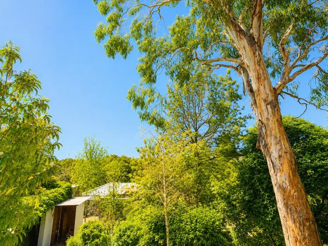 1a/6 Riversdale Rd, Hawthorn