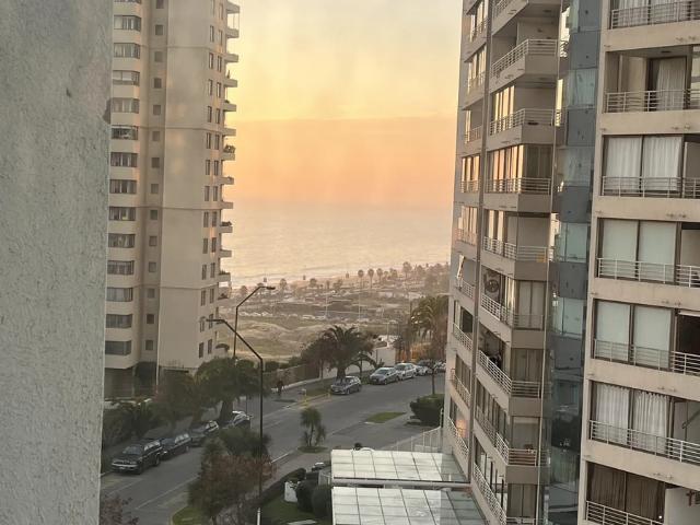 1d 1b viña del mar departamento