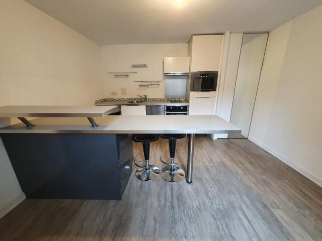 1p+c 34m² cours berriat