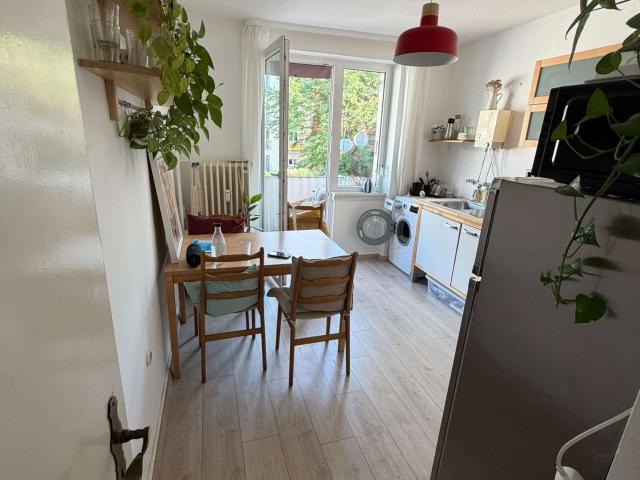 1ZKB Balkon in der Mainzer Neustadt möbliert 2.OGL