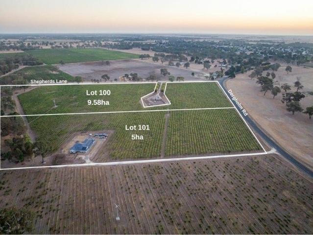 23 acre lifestyle allotment 1 minute from Penola