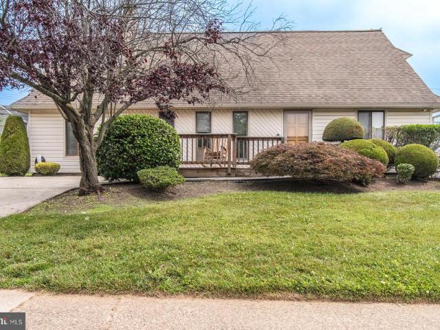23 Begonia Lane