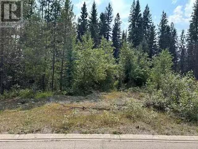 23 Douglas Crescent, Elkford, BC, V0B 1H0 vacant land for sa.