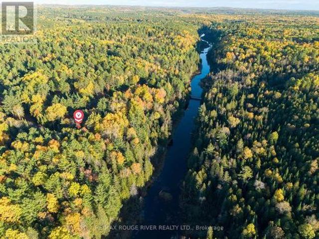 23 Egan Lane, Bancroft, ON, K0L 2L0 house for sale | Listing ID X13596 | Royal LePage