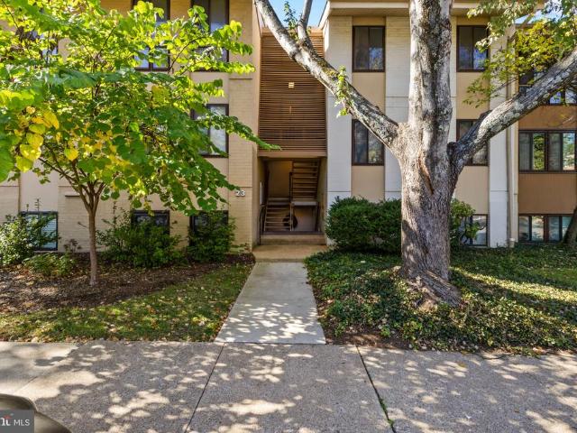 23 Hamill Road # 23E
