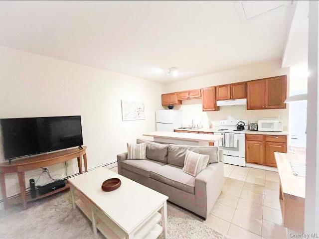 23 Pearl St, Unit 4, Livingston Manor, NY 12758 | MLS #971180