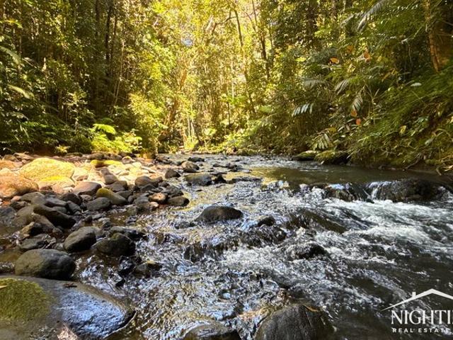 200 acres I Permanent Creeks I Privacy