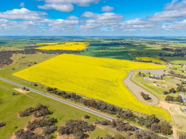 200 Acres. Two Titles. One Exceptional Rural Lifestyle Opportunity
