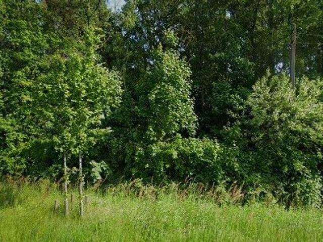 200 m2 apartment for rent in Moerbeke