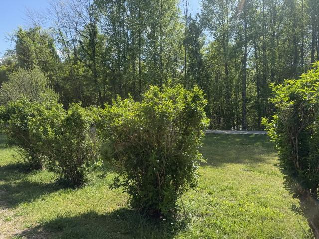 200 Rattlesnake Rd