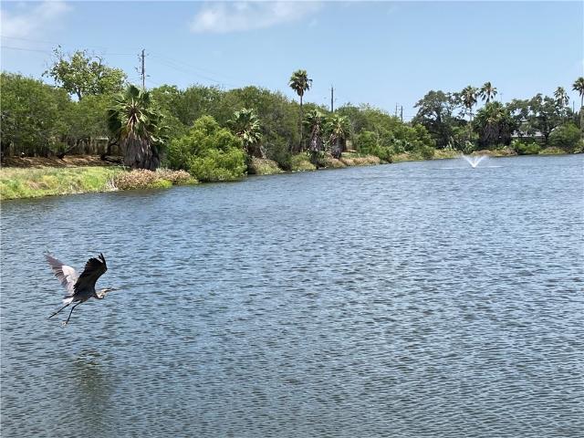2018 Hidden Lake 2018