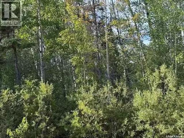 2012 Laronge Avenue, La Ronge, SK, S0J 1L0 vacant land for s.
