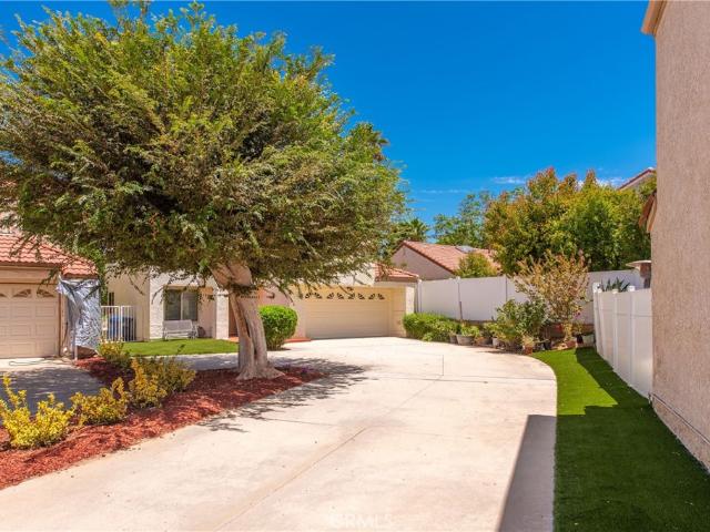 2024 Riverbirch