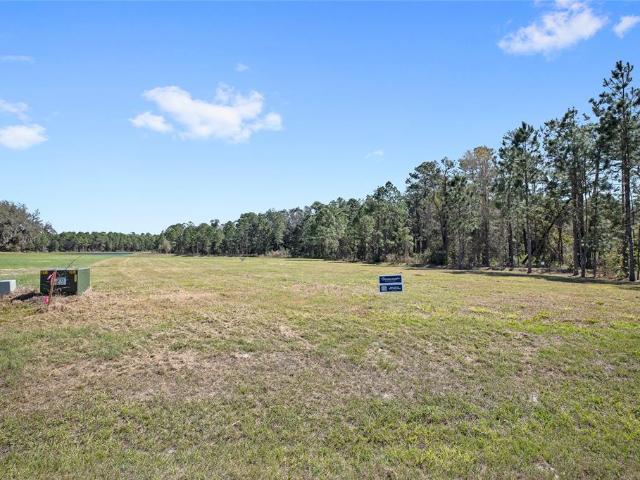 20280 Shoreline Ranch Ln, Umatilla, FL 32784 | MLS #O6416