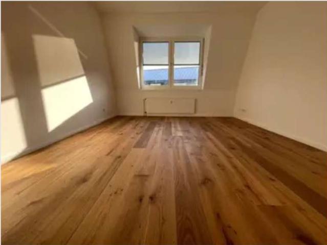 2023 sanierte 3 Zi Whg, EBK, Balkon, zentrale Lage, ab Nov26