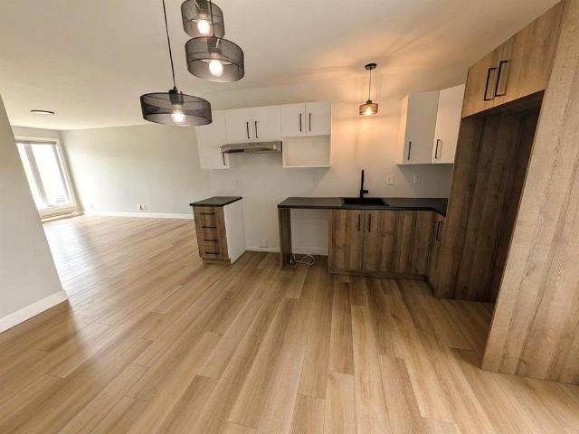 202 391 Avenue Des Bouleaux, Vallee Jonction