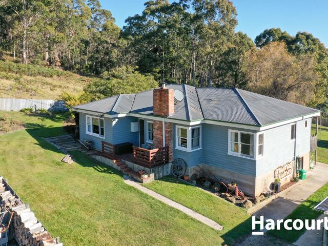 202 Brodies Road, GOLDEN VALLEY, TAS 7304