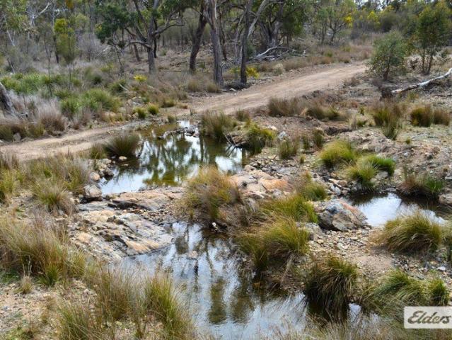 202 Hectares Native Grazing Recreation & Lifestyle
