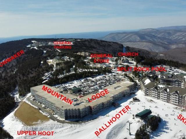 202 Mountain Ldg, Snowshoe, WV 26209