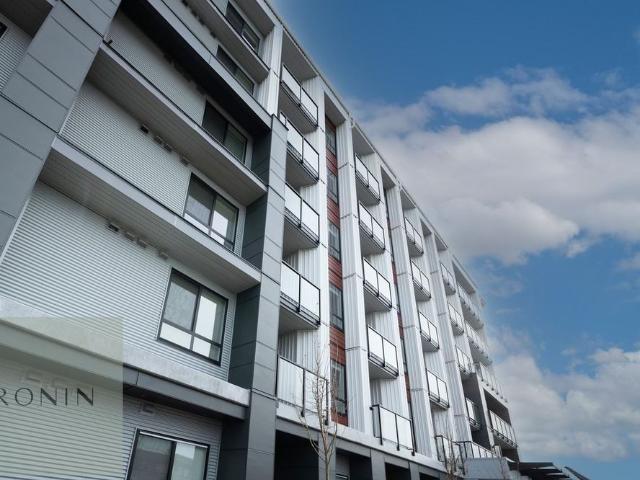 20360 Logan Avenue apartment — Langley, BC 1 Bedroom 1 Bedroom
