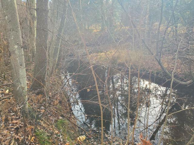 2030 George Street # Lot: 35 37