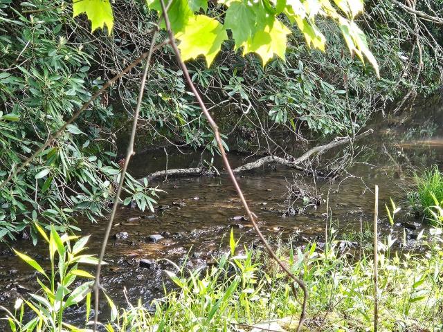 2032 Little Creek Hwy