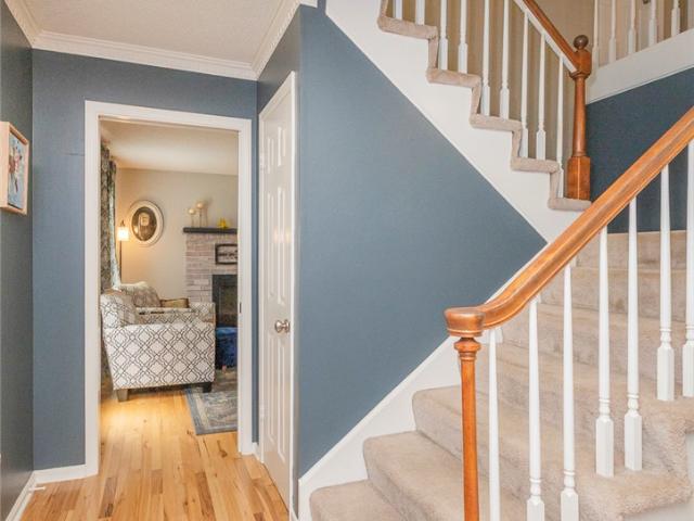 203 Oak Hollow