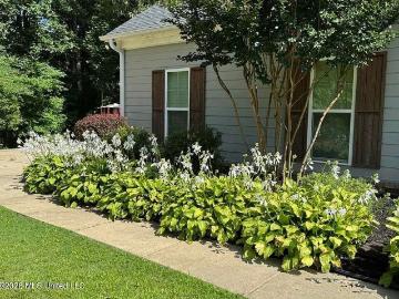 203 Polo Run Cove