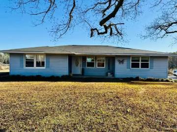 203 RIVERVIEW DR, ELBA, AL 36323