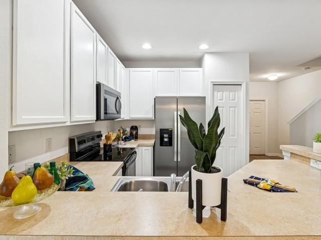 20461 Berrywood Lane, Tampa, US, FL