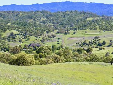 20475 County Road 57, Capay, CA 95607 | MLS #225040
