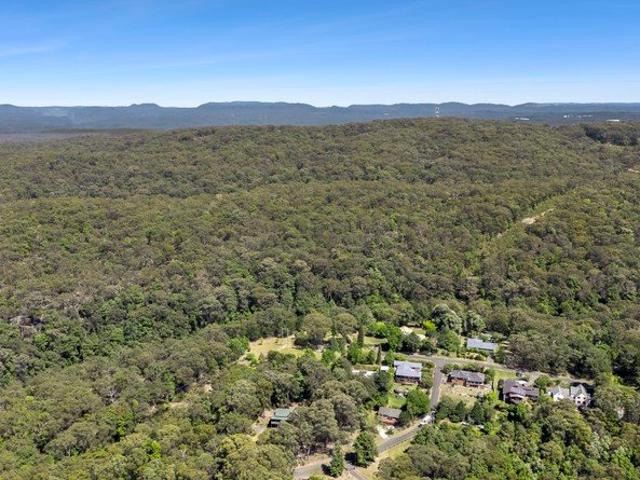 204 Acres of Untouched Wilderness