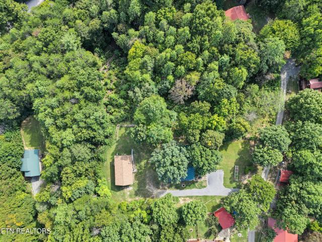 204 Great View Way