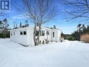 204 Vineland Road, Salmonier, NL, A0A 2R0 recreational for s.