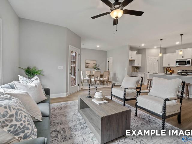 20621 English Ivy Lane