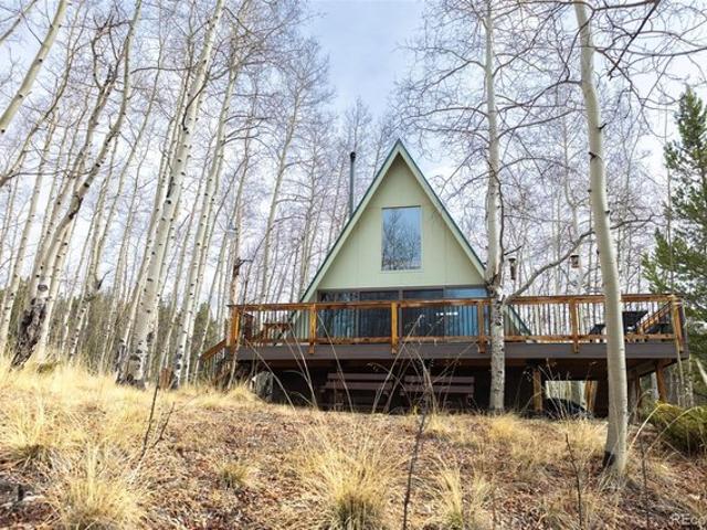 206 Empire Cir, Leadville, CO 80461
